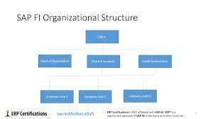 Sap Fi Organizational Structure Free Sap Fi Training