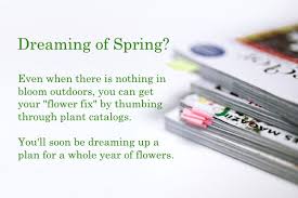 Seed And Plant Catalogs Buy Indoor Plants