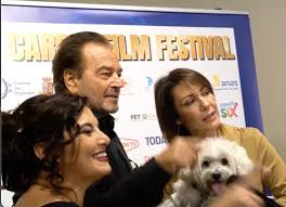 Pet carpet film festival, per gli animali in difficoltà | Video iO Donna