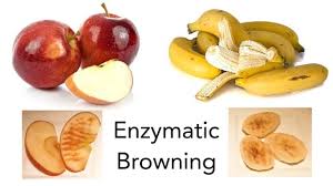 Enzymatic Browning