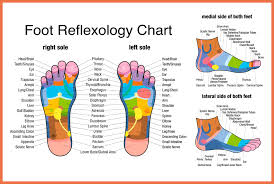 Treatment Tuesday Reflexology Salus Massage Therapy