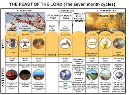 Feast Of The Lord The 7 Month Cycles Bible Bible Study