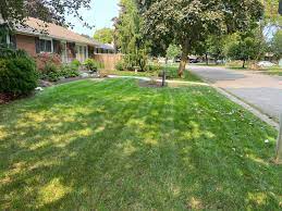 Green sword lawn care can look after all of your lawn care needs in brantford or paris including weed control, grub control , fertilizing, over seeding phone: Green Acres Lawn Care Posts Facebook