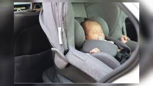 Experts Napping While In A Car Seat A
