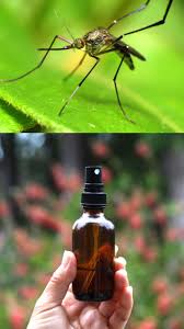 homemade natural mosquito