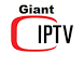 Image result for giant iptv vod