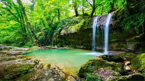 آبشاری به زیبایی یک رویا در دل جنگل با جاذبه‌ای بکر برای گردشگری