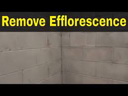 How To Remove Efflorescence Easily Full