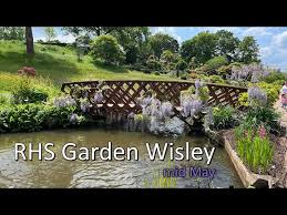 rhs garden wisley garden walk in mid