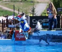 dockdogs love and talent combine
