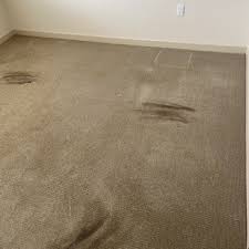 g a carpet upholstery steam cleaning