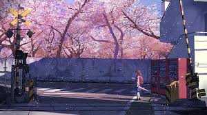 anime sakura blossom