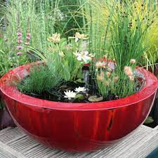 Create A Miniature Container Pond