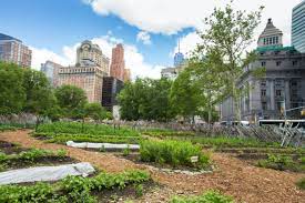 15 Urban Farms Gardens In Nyc