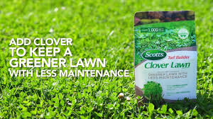 benefits of planting a clover lawn scotts