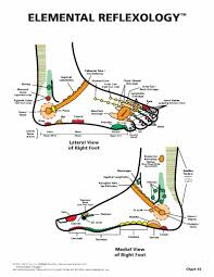 Ankle Foot Reflexology Related Keywords Suggestions