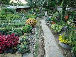 Best Plant Nurseries In Los Angeles