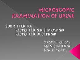 Microscopic Examination Of Urine