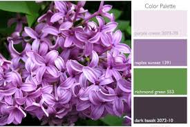 Color Palette Inspired By Lilacs