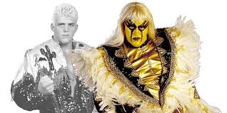 dustin rhodes almost got t implants