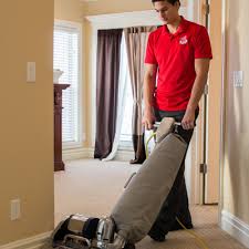 top 10 best carpet cleaning near pasco
