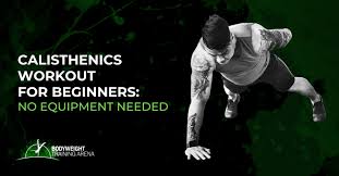 calisthenics workout for beginners no