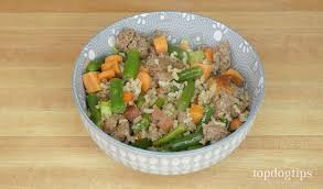 ground beef and vegetable homemade dog