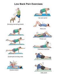 best exercises for back pain