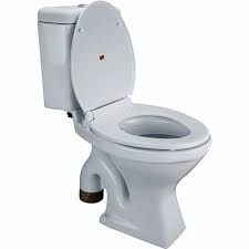 Direct Manufacturer Ewc Toilet Seat