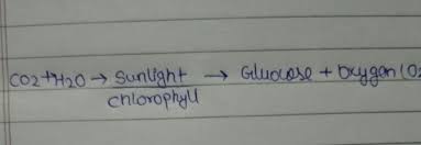 Chemical Equation