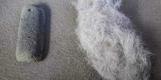 remove dog hair from your car and
