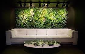 Indoor Vertical Gardens Transforming