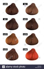 Haircolor And Hair Dye Colours Chart Colour Numbers 5