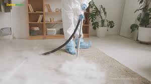 carpet cleaning dallas maids