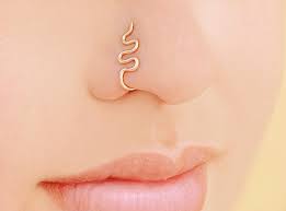 Nose piercings are the most common form of piercing after the conventional ear piercings. Snake Nose Fake Piercing Snake Nose Ring Fake Piercing Snake Nose Piercing No Piercing Nose Ring Gift For Her In 2021 Fake Piercing Fake Nose Rings Nose Piercing Jewelry