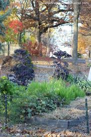 Garden By Mulching In The Fall