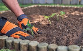 How To Create A Vegetable Patch Stihl