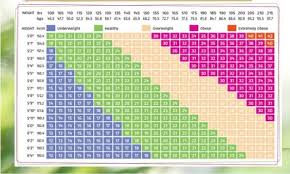 Precise Muscle Mass Chart Bone Percentage Chart Body Fat
