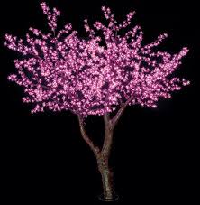 Lighted Cherry Blossom Trees
