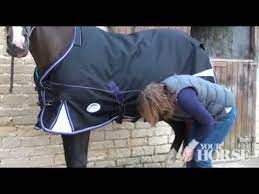 ing a rug your horse you