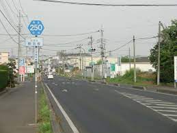茨城県道250号古河総和線 - Wikipedia