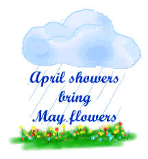 /></a>Yes, April showers do bring May flowers. I'm a May flower! ha! Wind is blowing mightily here. Pines are waving in the wind. But warmer and the sun is shining. In the 50's most of the week. Yes, some rain too but that is to be expected.</div> <div class=