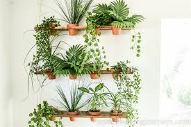 diy indoor vertical garden jessica