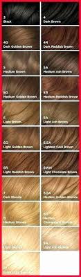 49 Luxury Bigen Hair Color Chart Home Furniture