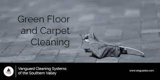 green floor and carpet cleaning
