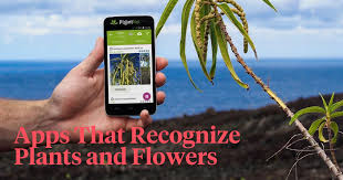 apps for identifying plants and flowers