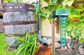 Water Harvesting For Gardening In Water