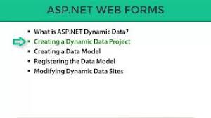asp net dynamic data