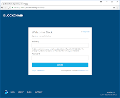 Check a bitcoin wallet balance. Bitcoin Phishing Attack Hacking Methods Used For Cryptowallets