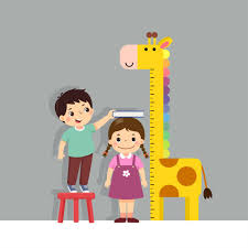 Measuring Height Vector Art & Graphics | freevector.com